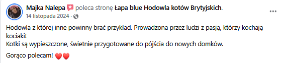 Zrzut ekranu 2025-02-10 120544