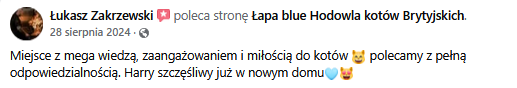 Zrzut ekranu 2025-02-10 120716