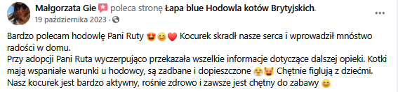 Zrzut ekranu 2025-02-10 121041