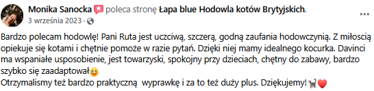 Zrzut ekranu 2025-02-10 121134