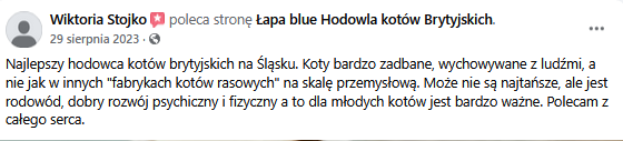 Zrzut ekranu 2025-02-10 121217