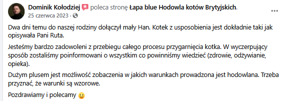 Zrzut ekranu 2025-02-10 121330