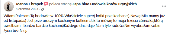 Zrzut ekranu 2025-02-10 121444