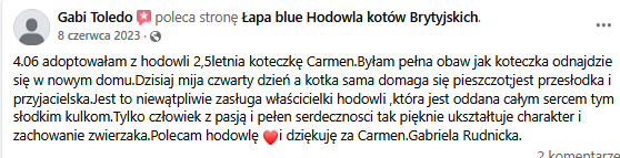 Zrzut ekranu 2025-02-10 121533