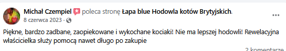 Zrzut ekranu 2025-02-10 121616