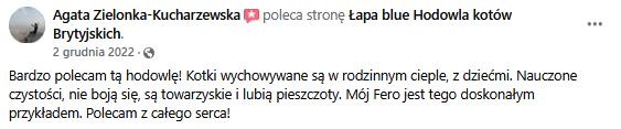 Zrzut ekranu 2025-02-10 121906