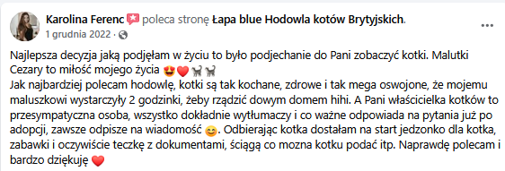 Zrzut ekranu 2025-02-10 121957